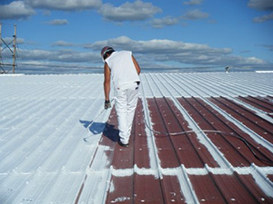 Roof Restoration1