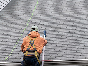 Shingle Roof Replacement