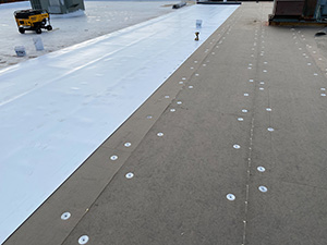 Single-Ply Membrane1