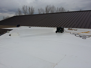 Single-Ply Roof Maintenance1