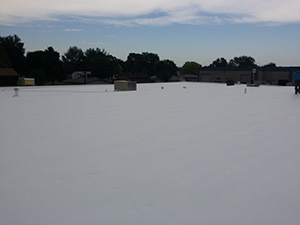 Single-Ply Membrane