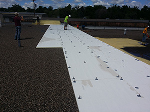 Single-Ply Membrane1