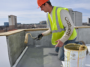 Single-Ply Membrane Roofing1