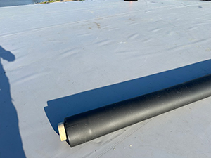 Single-Ply Membrane1