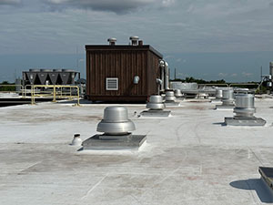 TPO Roof Repair Services