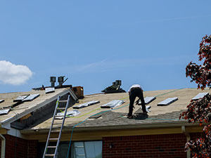 New Shingle Roof1